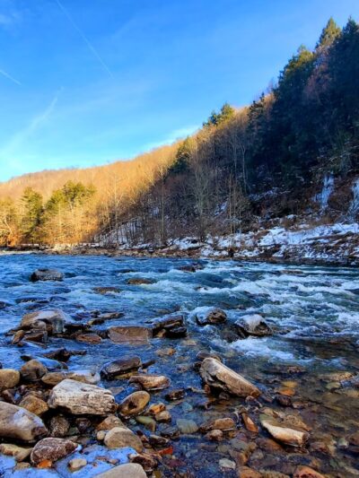 World's End State Park Family Campground - Muncy Valley, PA