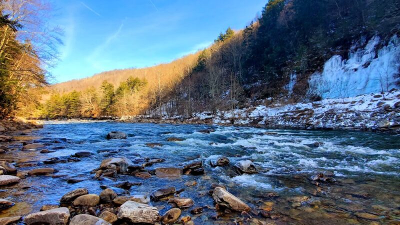 World's End State Park Family Campground - Muncy Valley, PA