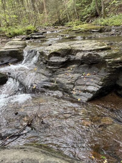 World's End State Park Family Campground - Muncy Valley, PA