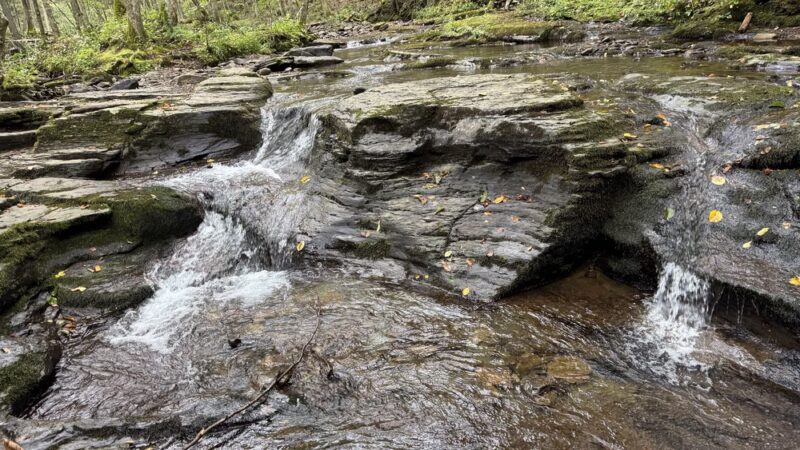 World's End State Park Family Campground - Muncy Valley, PA