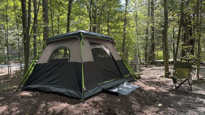 World's End State Park Family Campground - Muncy Valley, PA