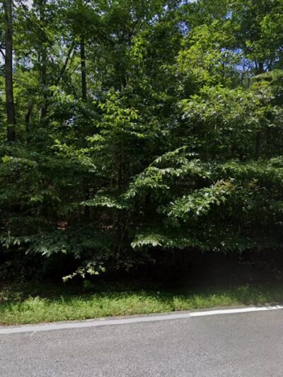 Nanjemoy WMA - Nanjemoy, MD