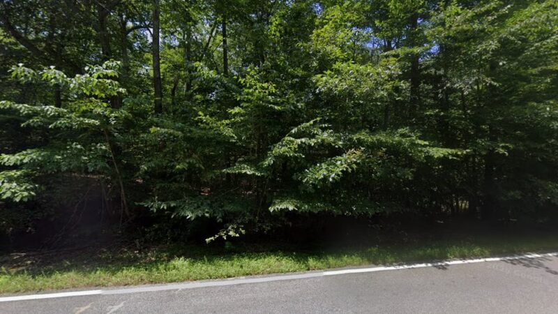 Nanjemoy WMA - Nanjemoy, MD