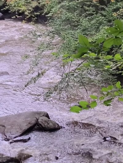 The Ghost Town Trail - Twin Rocks Trailhead - Nanty-Glo, PA