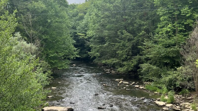 The Ghost Town Trail - Twin Rocks Trailhead - Nanty-Glo, PA