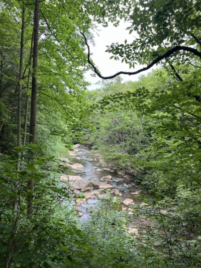 The Ghost Town Trail - Twin Rocks Trailhead - Nanty-Glo, PA