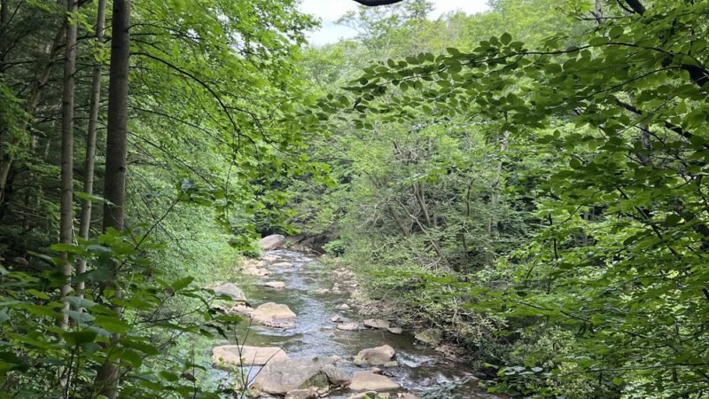 The Ghost Town Trail - Twin Rocks Trailhead - Nanty-Glo, PA