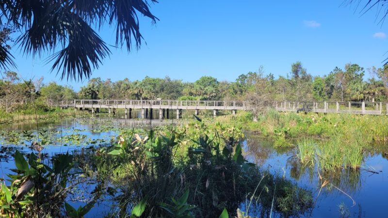 Freedom Park - Naples, FL