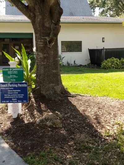 Veterans Community Park - Naples, FL