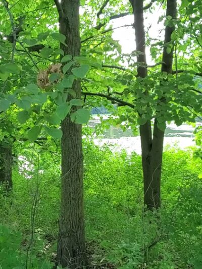 Nashotah Park - Nashotah, WI