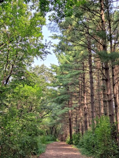 Nashotah Park - Nashotah, WI