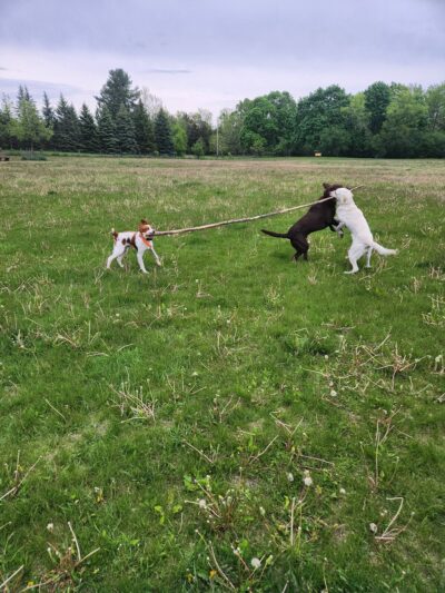 Nashotah Park - Nashotah, WI