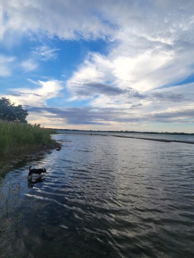 Fort Peck Campground - Nashua, MT