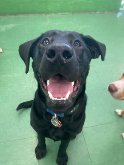 Chewie's Playland South - Nashua, NH