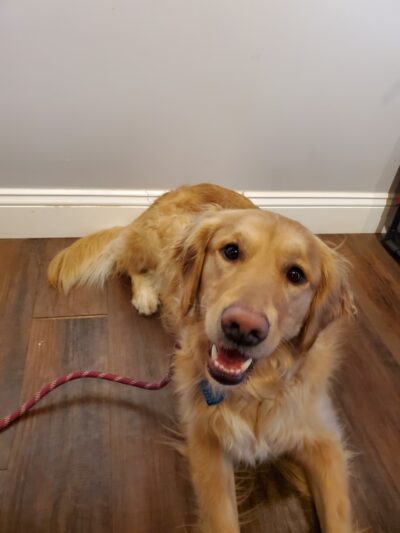 Chewie's Playland South - Nashua, NH