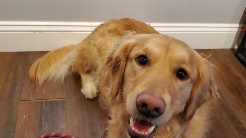 Chewie's Playland South - Nashua, NH