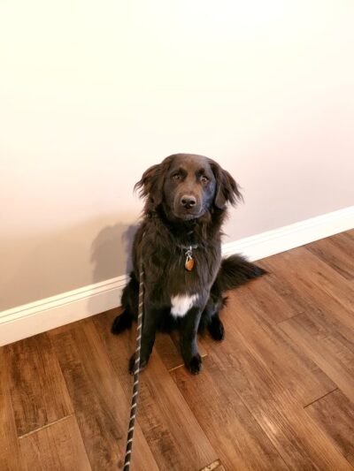 Chewie's Playland South - Nashua, NH
