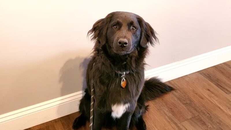 Chewie's Playland South - Nashua, NH