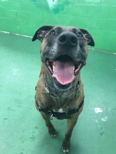 Chewie's Playland South - Nashua, NH