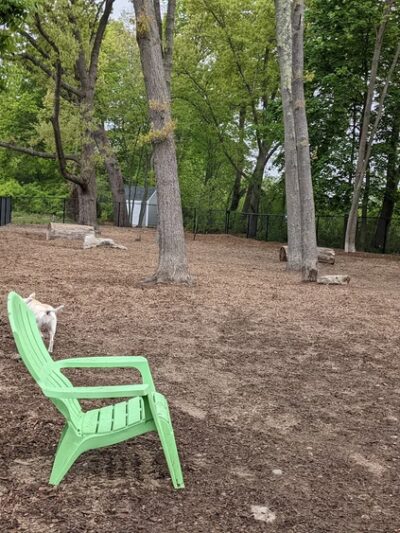 FIDO Dog Park - Natick, MA