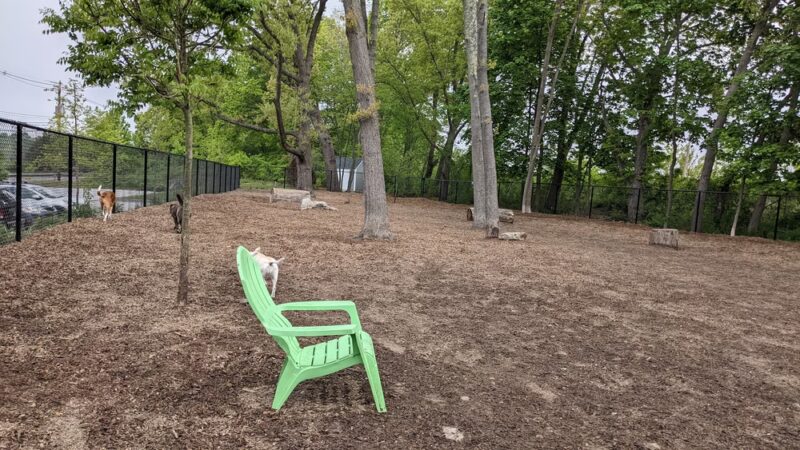 FIDO Dog Park - Natick, MA