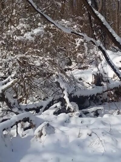 Harrison Hills Park - Natrona Heights, PA