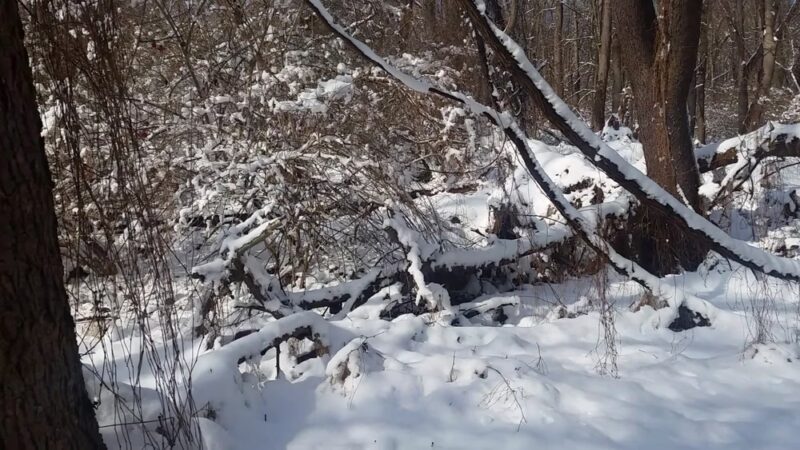 Harrison Hills Park - Natrona Heights, PA