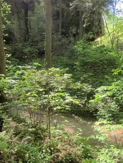 Natural Bridge Park - Natural Bridge, AL