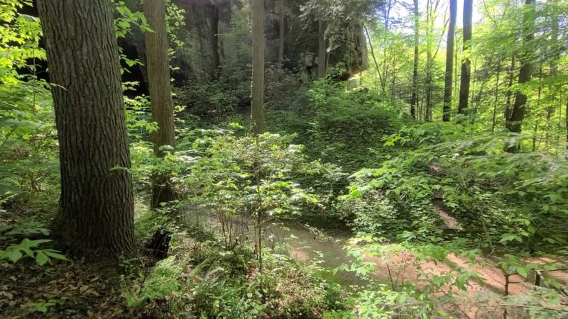 Natural Bridge Park - Natural Bridge, AL