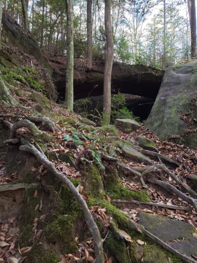 Natural Bridge Park - Natural Bridge, AL