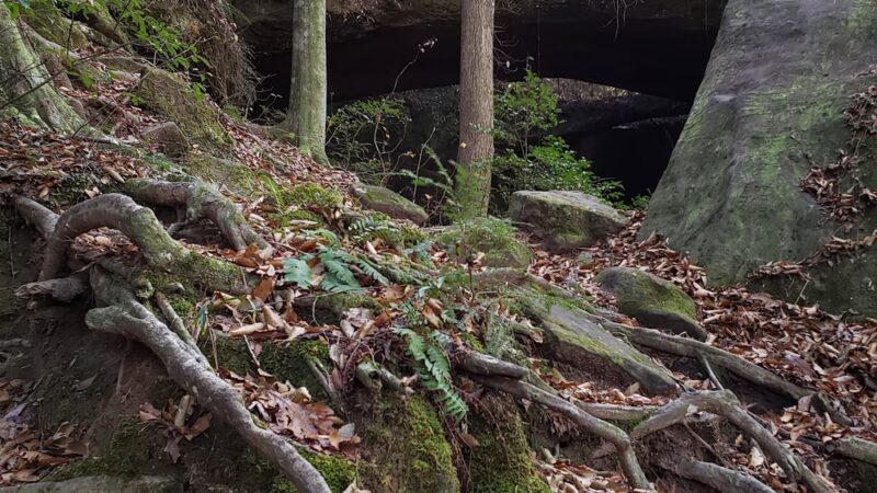 Natural Bridge Park - Natural Bridge, AL