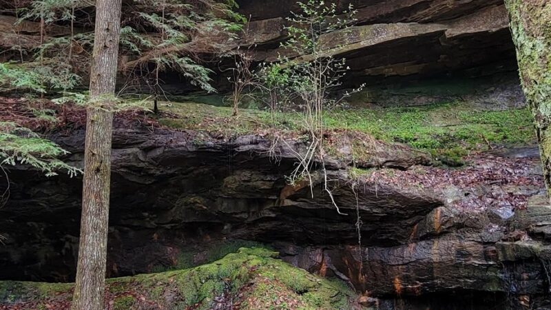 Natural Bridge Park - Natural Bridge, AL