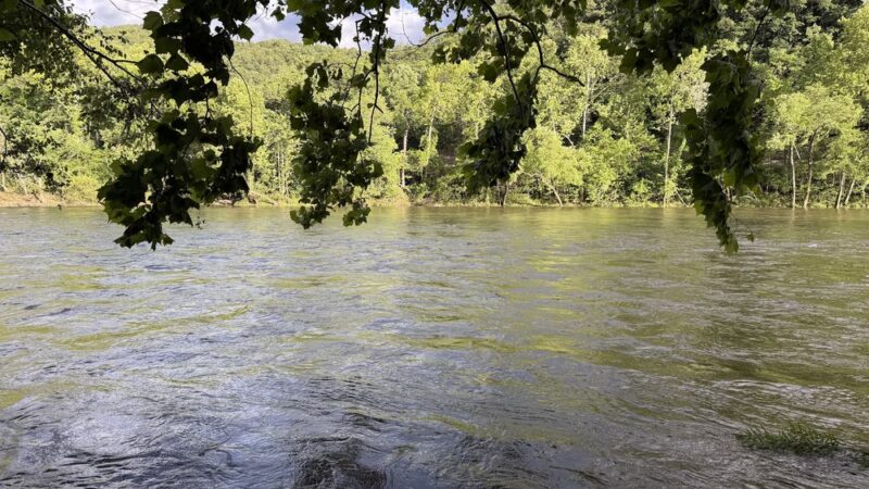 Back Run Paddle In Camp - Natural Bridge Station, VA
