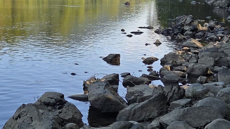 Balcony Falls Trailhead - Natural Bridge Station, VA