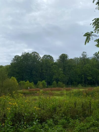Balcony Falls Trailhead - Natural Bridge Station, VA