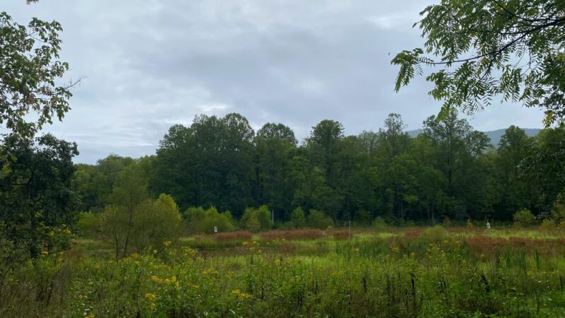 Balcony Falls Trailhead - Natural Bridge Station, VA