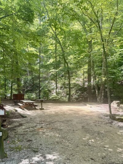 Cave Mountain Lake Campground - Natural Bridge Station, VA