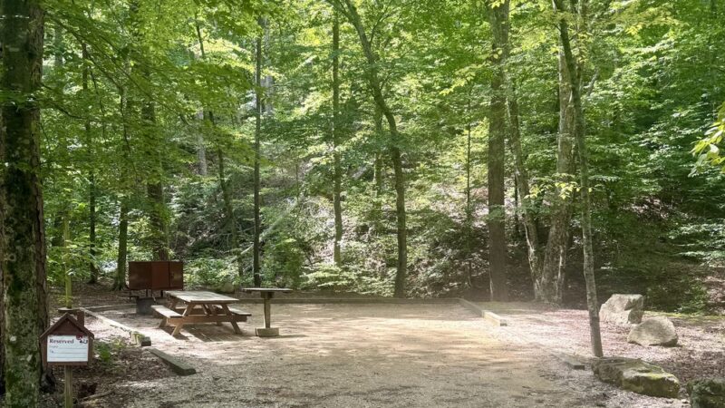 Cave Mountain Lake Campground - Natural Bridge Station, VA