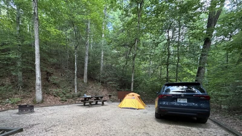 Cave Mountain Lake Campground - Natural Bridge Station, VA