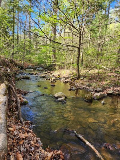 Cave Mountain Lake Campground - Natural Bridge Station, VA