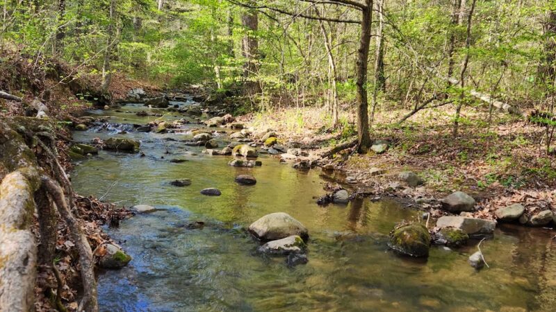 Cave Mountain Lake Campground - Natural Bridge Station, VA