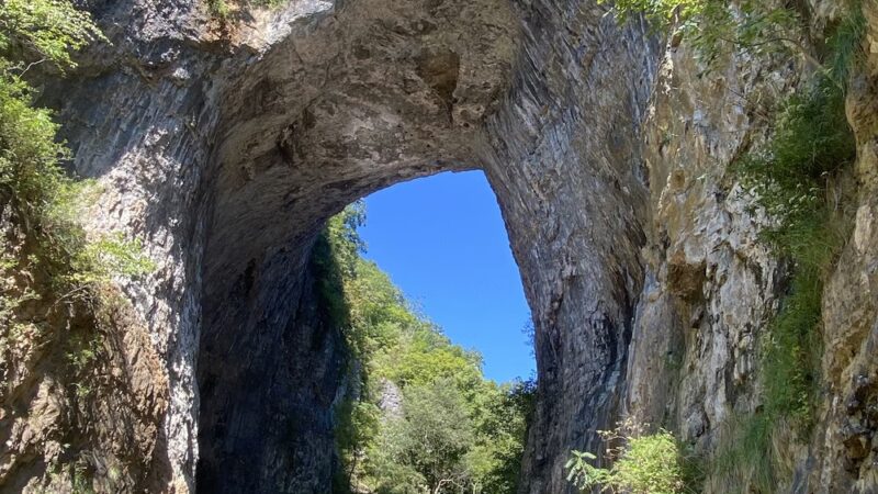Lace Falls - Natural Bridge, VA