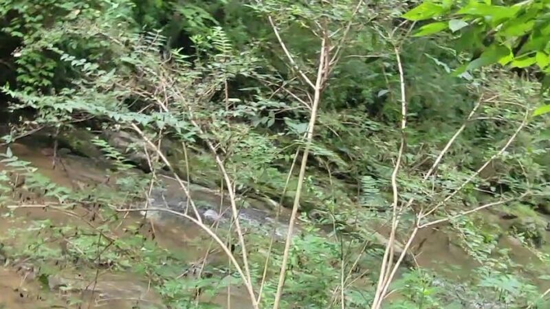 Monacan Walking Trail - Natural Bridge, VA