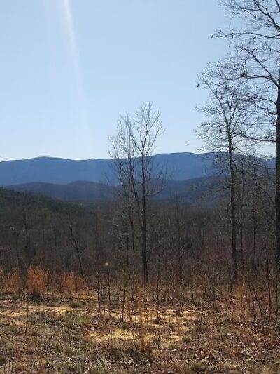 Monacan Walking Trail - Natural Bridge, VA