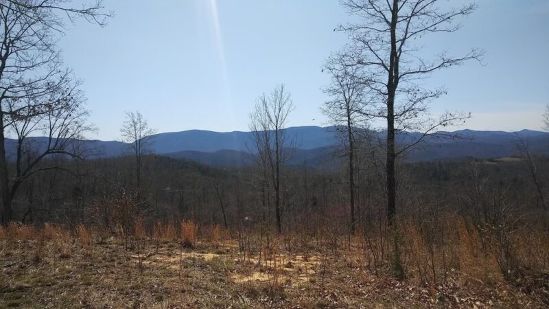 Monacan Walking Trail - Natural Bridge, VA