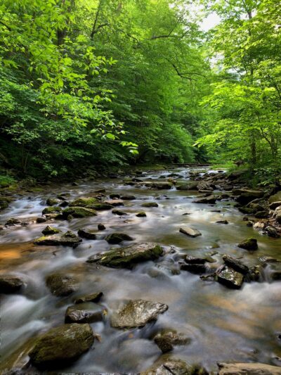 Natural Bridge State Park - Natural Bridge, VA