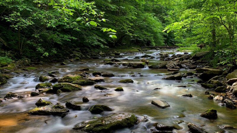 Natural Bridge State Park - Natural Bridge, VA