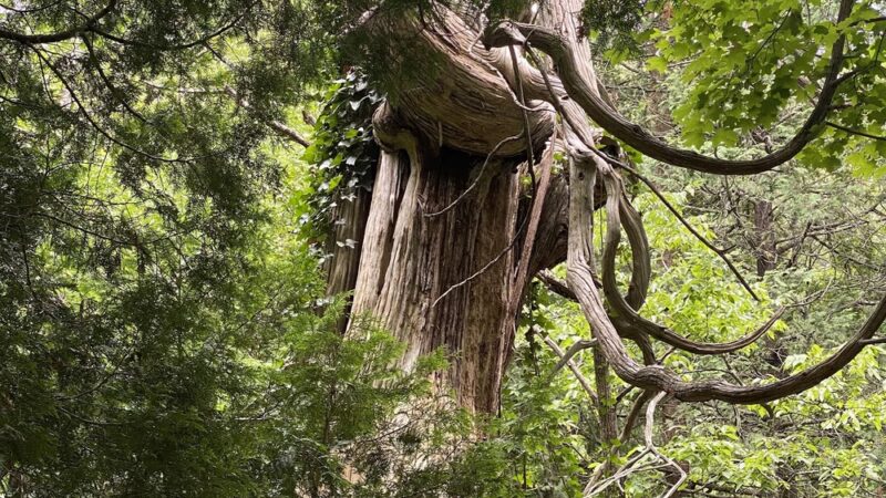 Natural Bridge State Park - Natural Bridge, VA