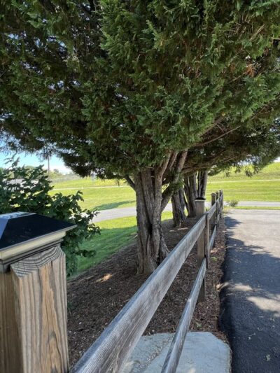 Relax Inn Natural Bridge - Natural Bridge, VA