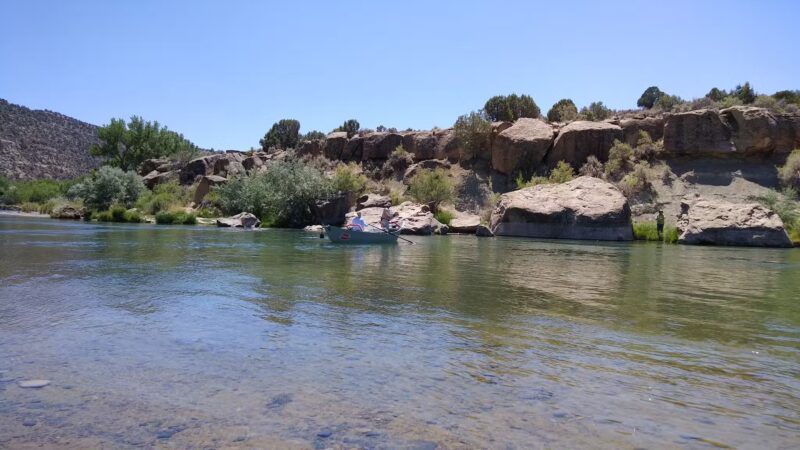 Navajo Lake State Park (Pine) - Navajo Dam, NM